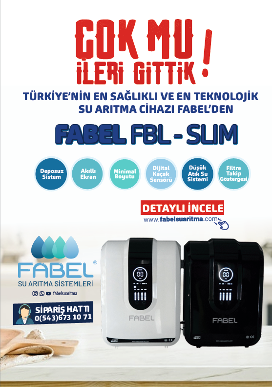 Ekran görüntüsü 2025-03-13 151213